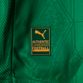 Camisa Palmeiras 2025/26 Home – Jogador