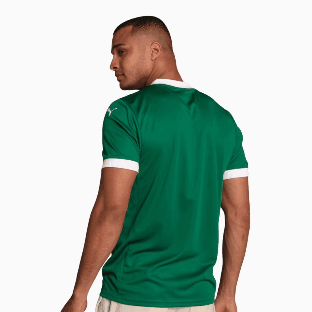Camisa Palmeiras 2025/26 Home – Torcedor