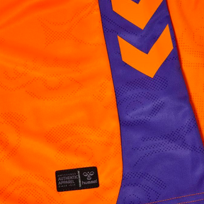 Camisa Malaga 2025/26 Third – Torcedor