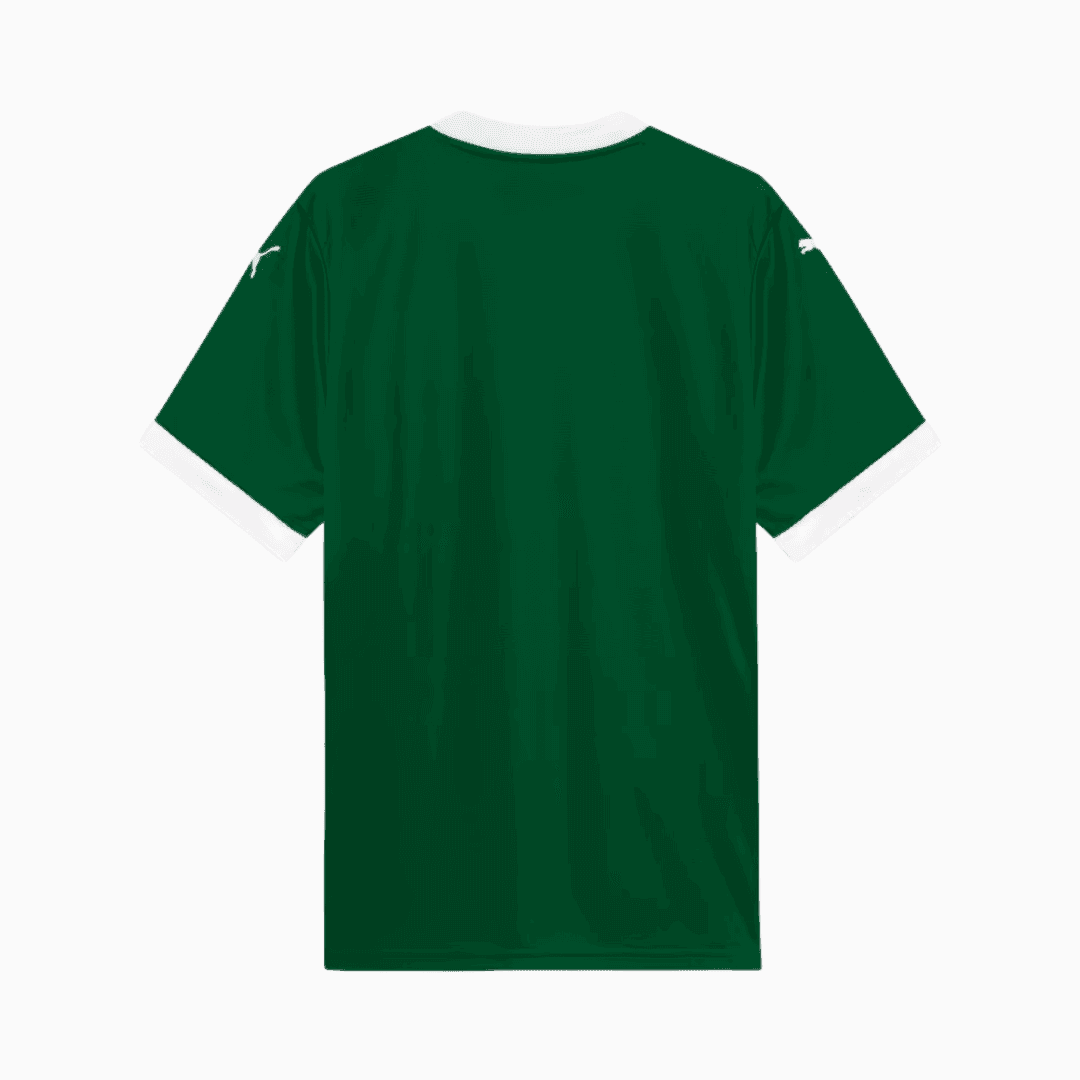 Camisa Palmeiras 2025/26 Home – Torcedor