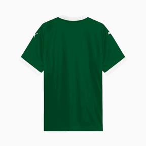 Camisa Palmeiras 2025/26 Home – Torcedor