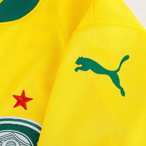 Camisa Puma Palmeiras 2025/26 III Torcedor