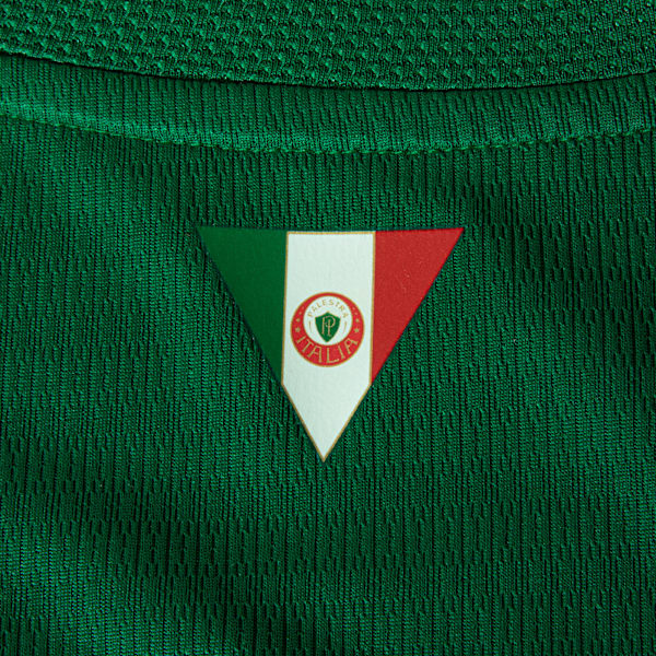 Camisas Palmeiras Torcedor Masculina 2026/27 - Verde
