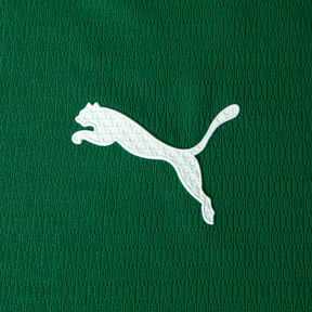 Camisas Palmeiras Torcedor Masculina 2026/27 - Verde