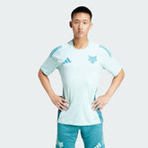 Camisa Cruzeiro 2025/26 Treino – Torcedor